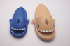 CLOGS