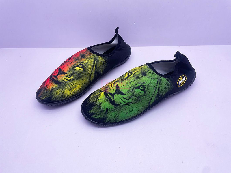 AQUA SHOES